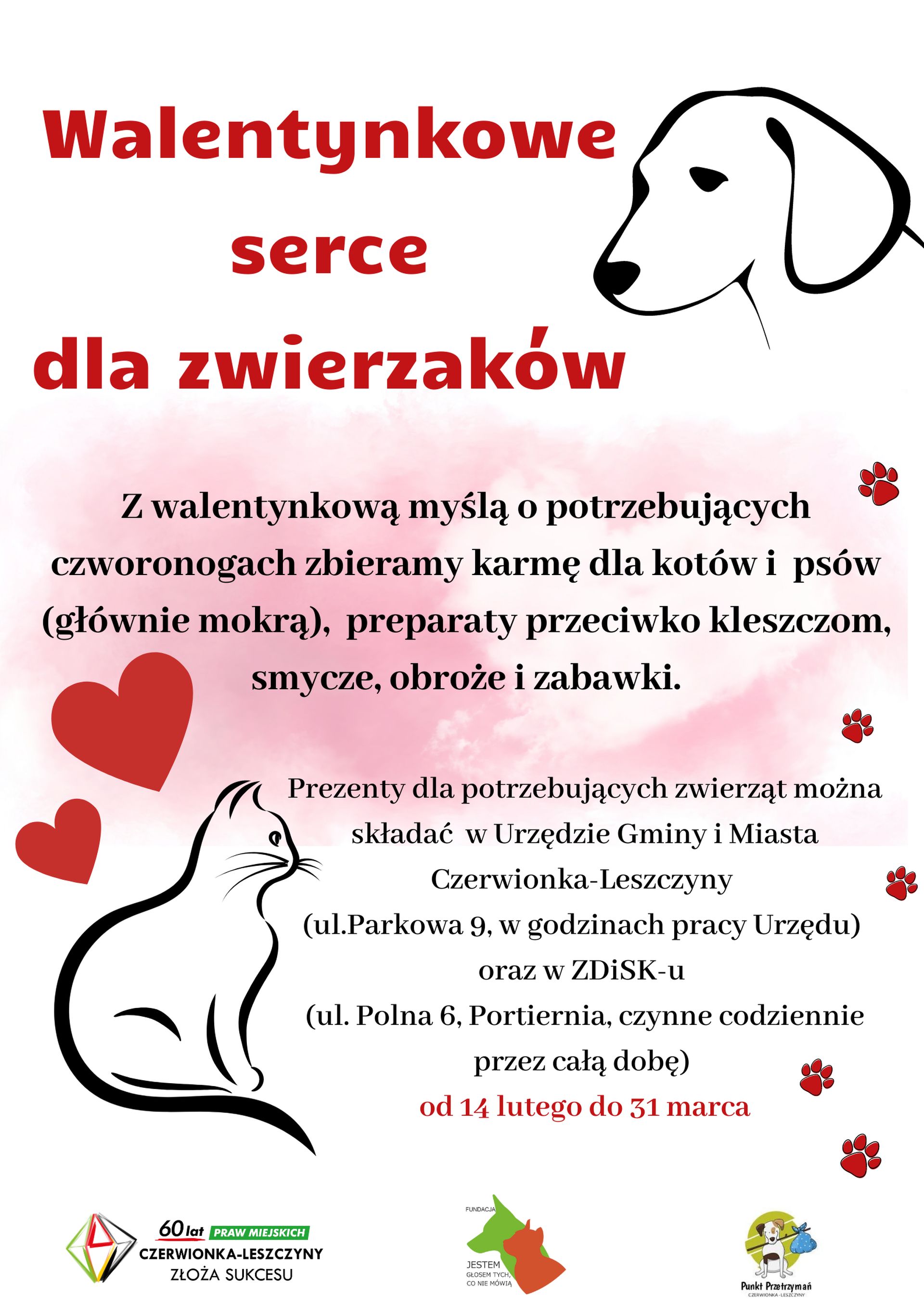 Walentynkowe serce dla zwierzaków